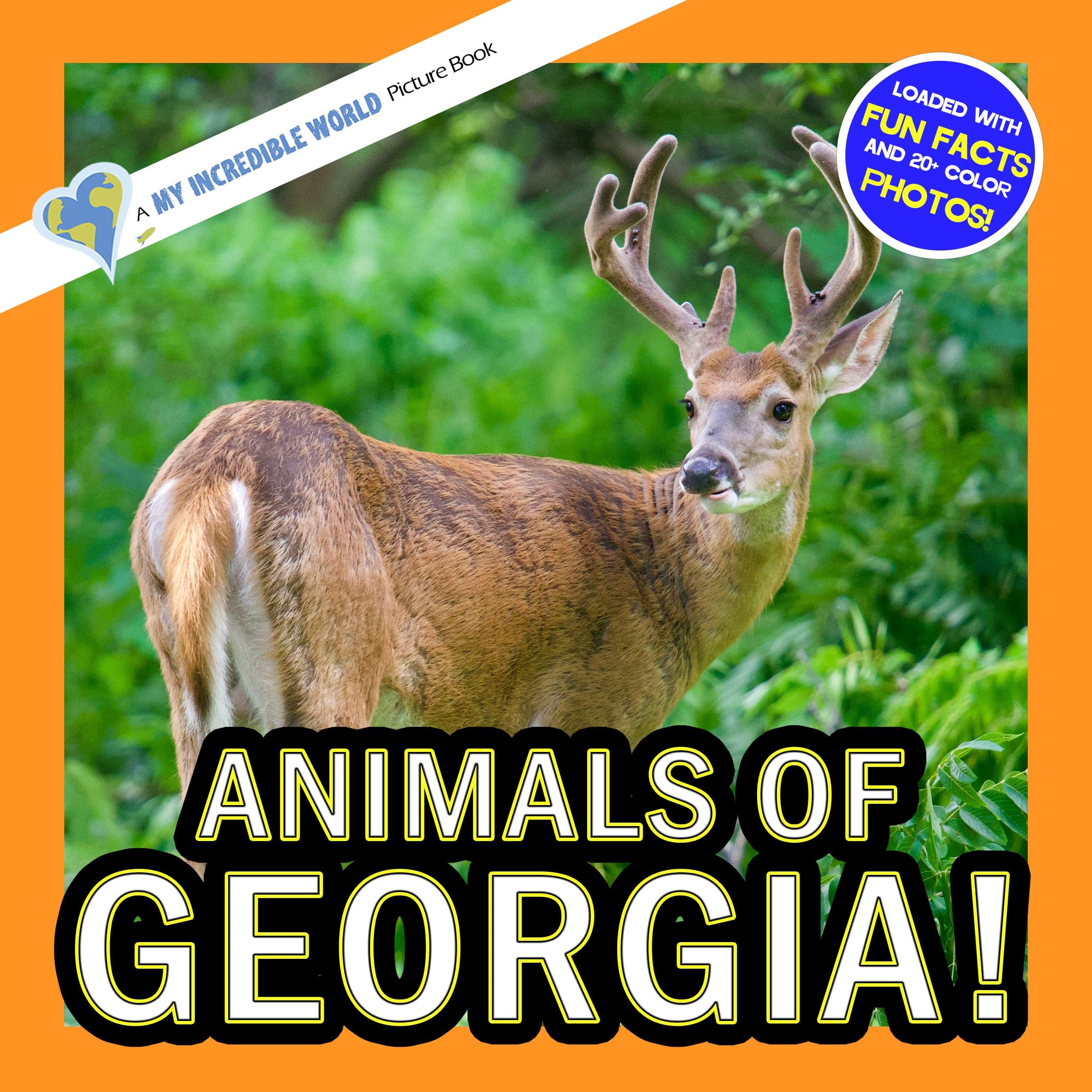 Animals of Georgia! A My Incredible World Picture Book for Children